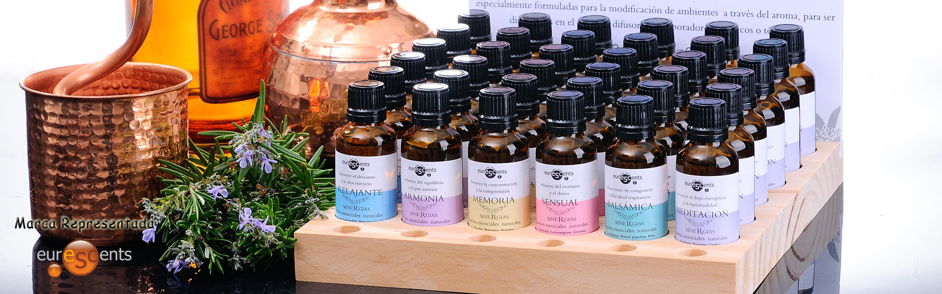 euroscents-3.jpg