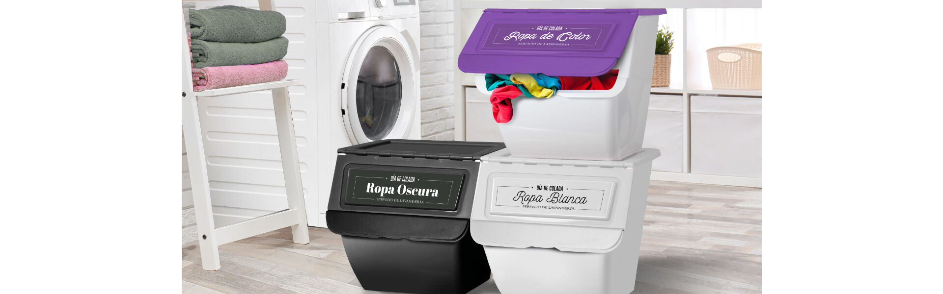banner ropa.jpg