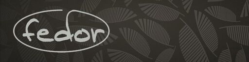 fedor-sa-banner-fedor-200305144100.jpg