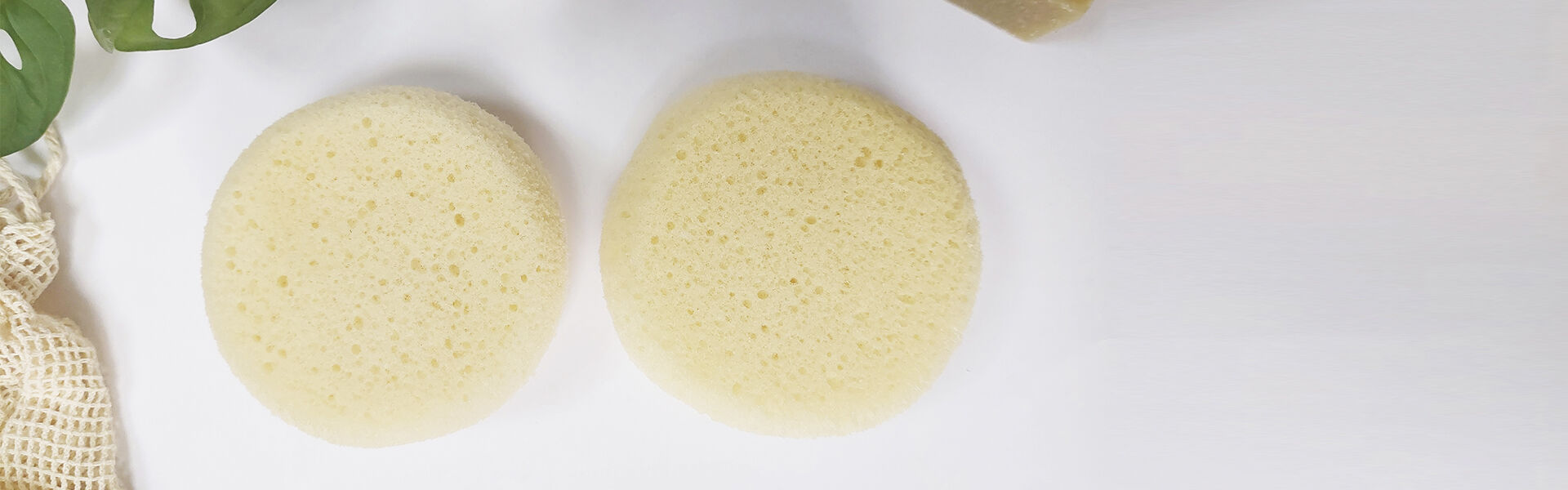 esponjas gerbex.jpg
