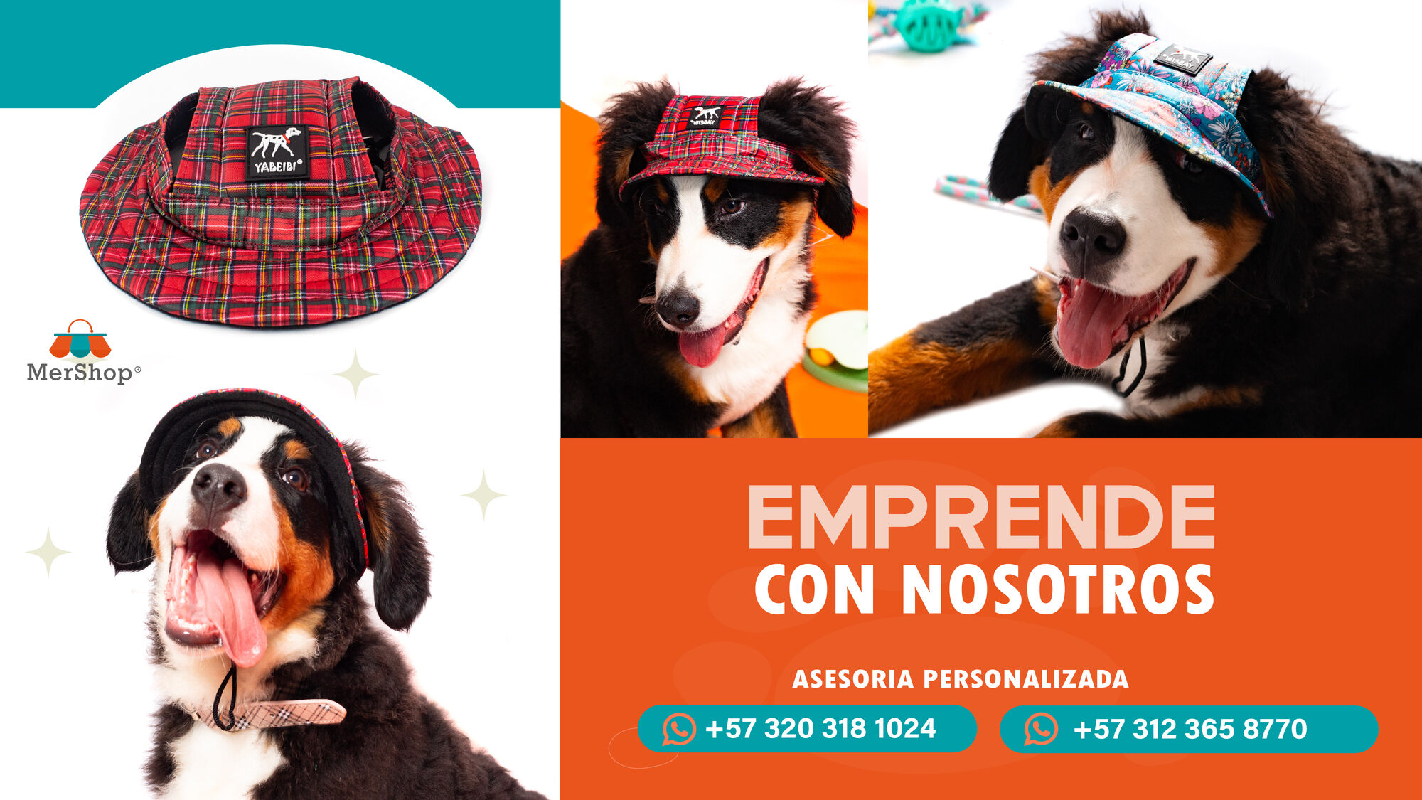 PORTADA 3.jpg