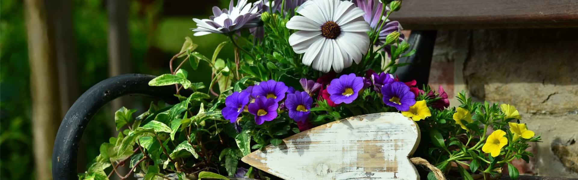 banner-01.jpg