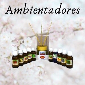 -ambientadores-210913071748.jpg